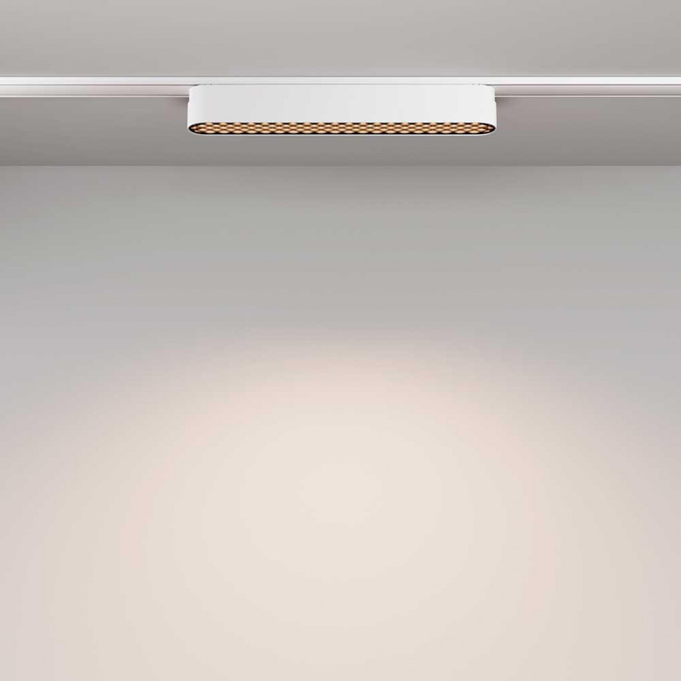 Трековый магнитный светильник Maytoni Basis Grid TR084-1-12W4K-W