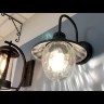 Уличный настенный светильник Odeon Light Nature Kalpi 4835/1W