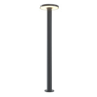 Уличный светильник Maytoni Wald O420FL-L12GF1