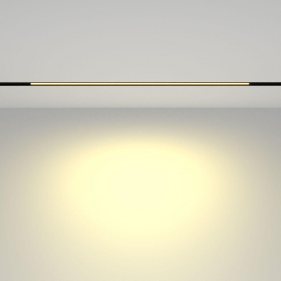 Трековый магнитный светильник Maytoni Basis TR030-2-24W2.7K-B