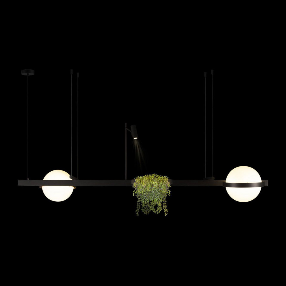 Подвесной светильник Loft IT Jardin 10121/D