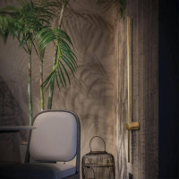 Настенный светильник Loft IT Rays 10159GR