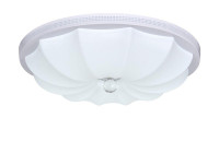 Потолочный светодиодный светильник Escada 10231/S LED