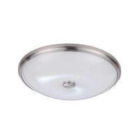 Настенно-потолочный светильник Odeon Light Pelow 4957/5