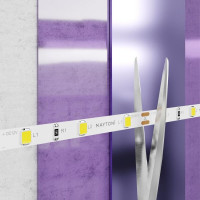 Светодиодная лента Maytoni Led Strip 12В 2835 4,8Вт/м 6000K 5м IP20 20009