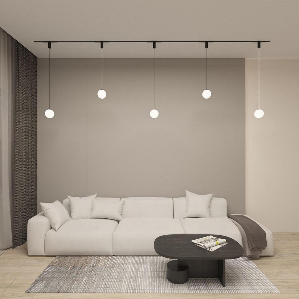 Трековый однофазный светильник Denkirs Smart Moon DK8052-BK