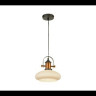 Подвесной светильник Lussole Loft LSP-9845