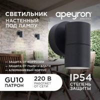 Уличный настенный светильник Apeyron Graphite 11-116