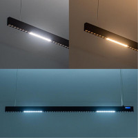 Подвесной светильник Arte Lamp Lao A2189SP-1BK