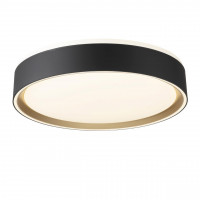Потолочный светильник Citilux Boss CL751251G