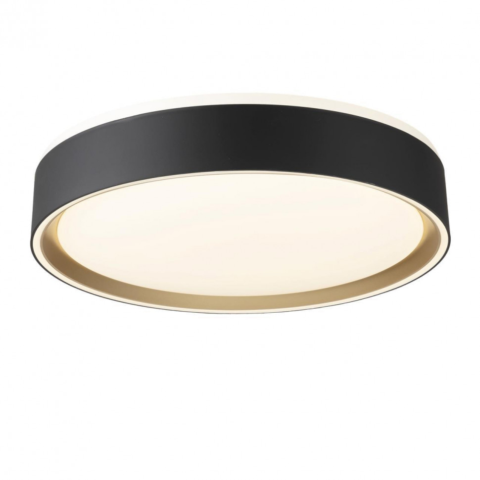 Потолочный светильник Citilux Boss CL751251G