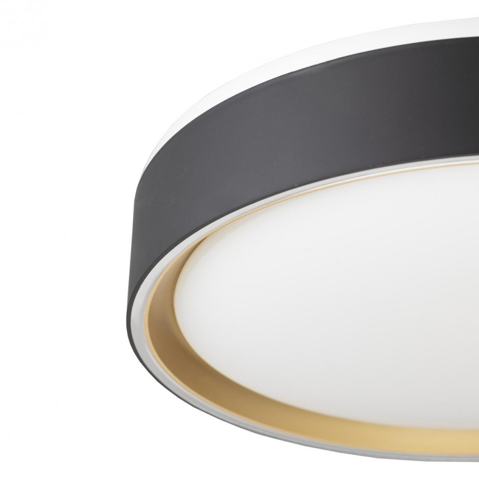 Потолочный светильник Citilux Boss CL751251G