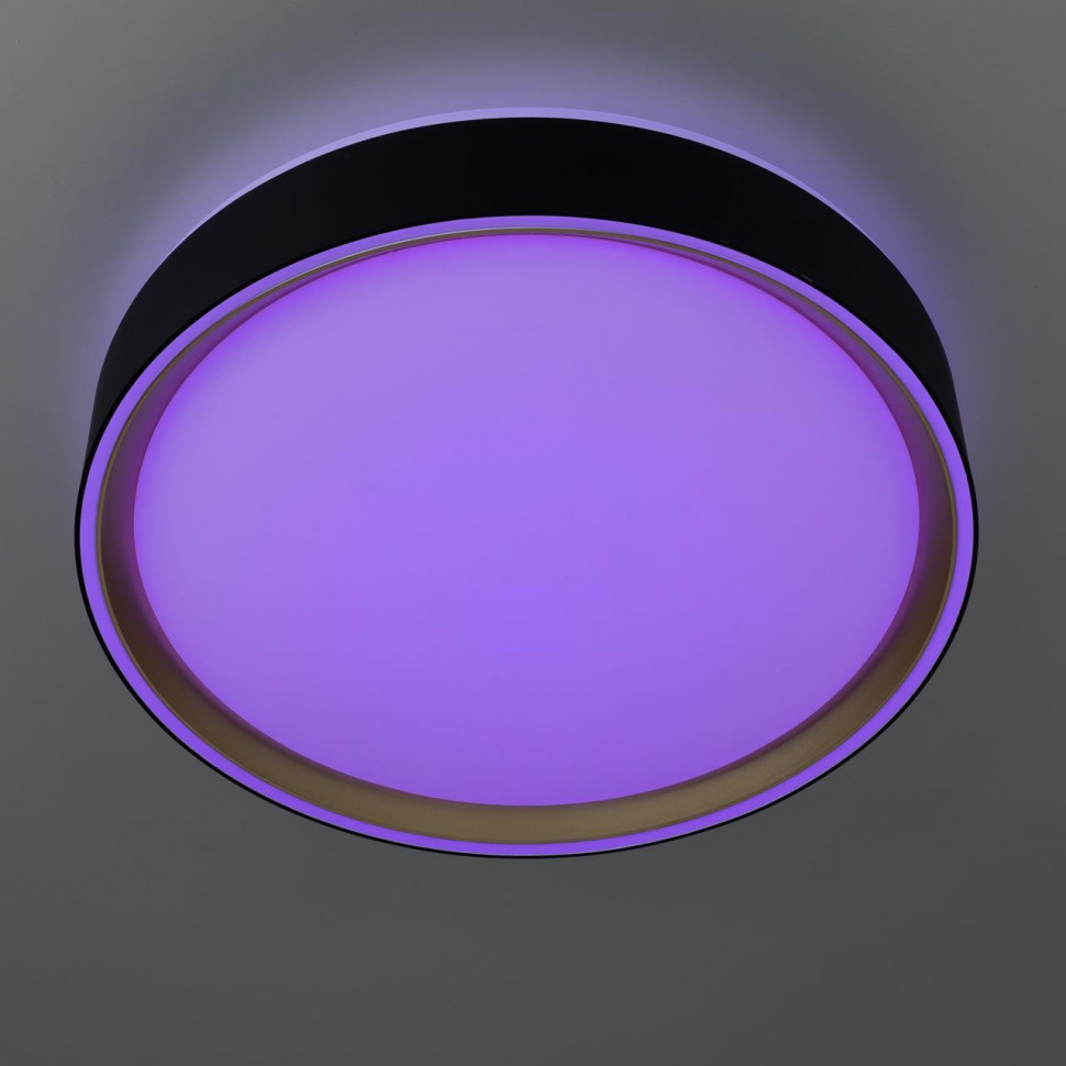 Потолочный светильник Citilux Boss CL751251G