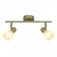 Спот Arte Lamp Parry A5062AP-2AB