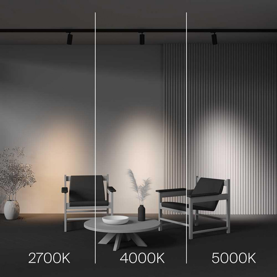Трековый трехфазный светильник Maytoni Focus Led TR197-3-20WCCT-M-B