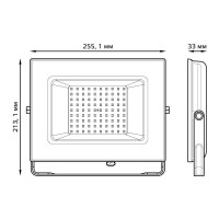 Прожектор светодиодный Gauss 100W 613100100