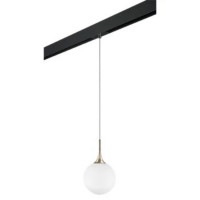 Трековый светильник Lightstar Globo (813023+595007) PRO813023