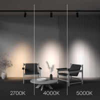 Трековый трехфазный светильник Maytoni Focus Led TR197-3-30WCCT-M-B