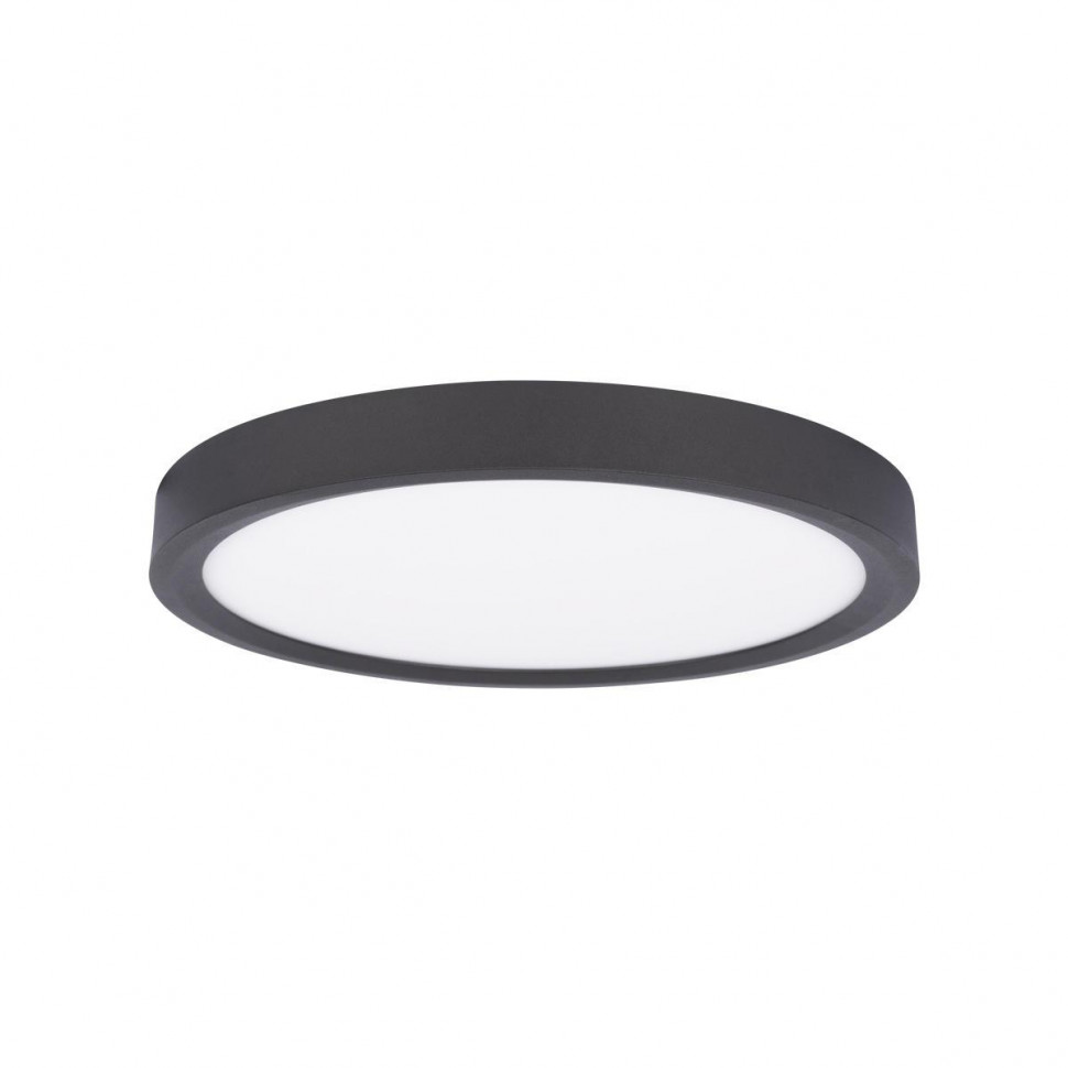 Потолочный светильник Loft IT Extraslim 10227/24 Black