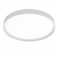 Потолочный светильник Citilux Boss CL751450G