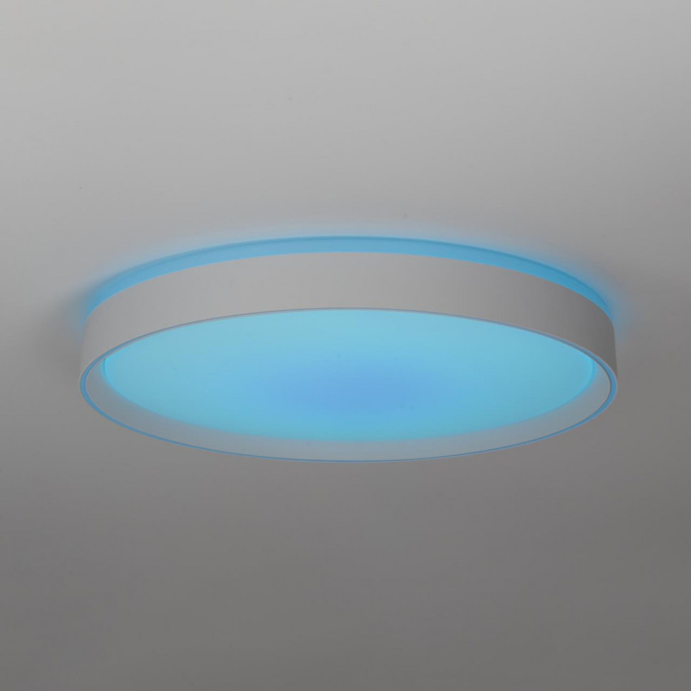 Потолочный светильник Citilux Boss CL751450G