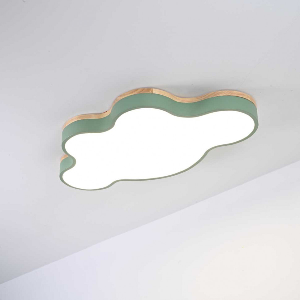 Потолочный светильник ImperiumLoft Cloud Eco 101450-26