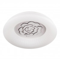 Потолочный светодиодный светильник Escada 10284/S LED