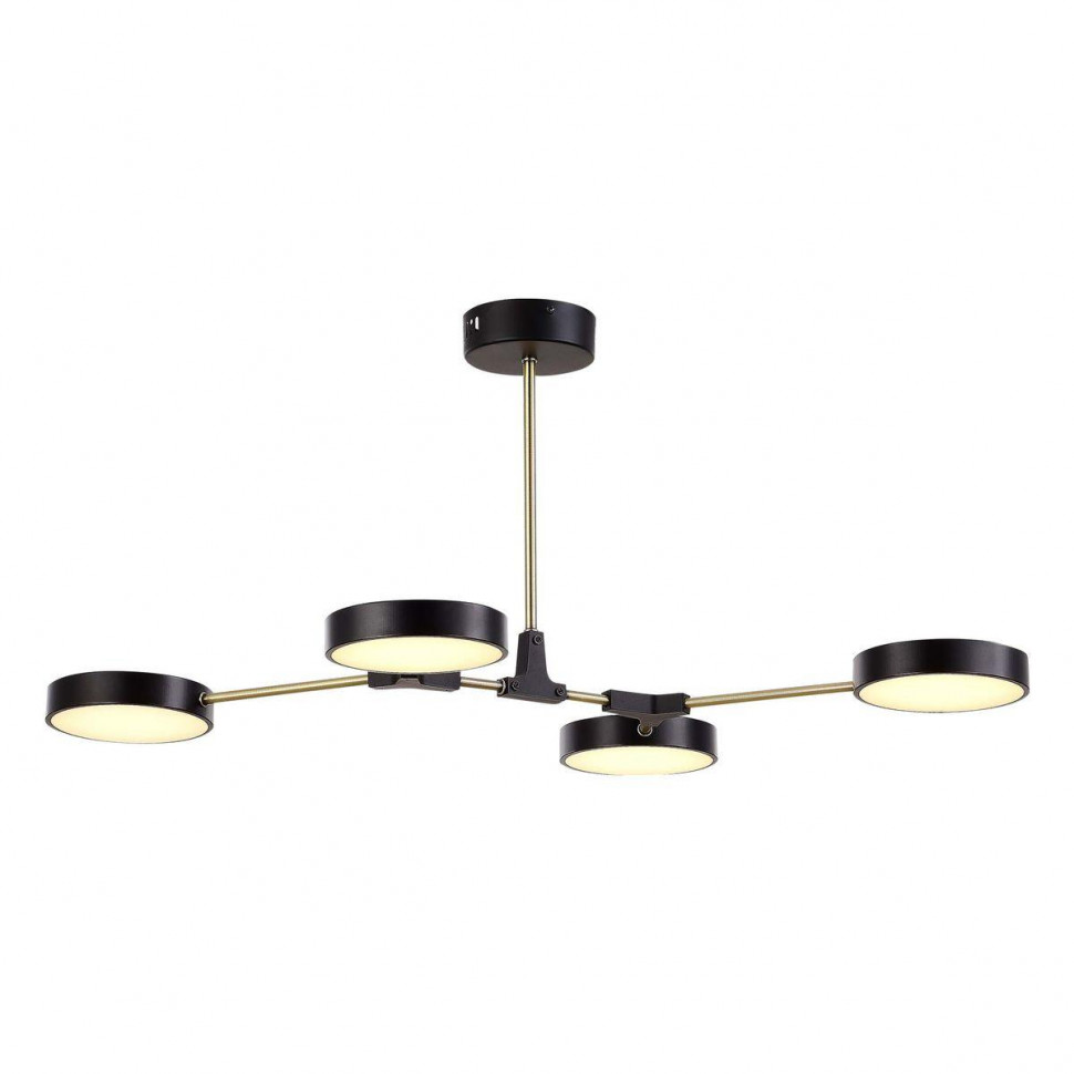 Потолочный светильник Evoluce Monta SLE6004-402-04