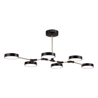 Потолочный светильник Evoluce Monta SLE6004-402-06