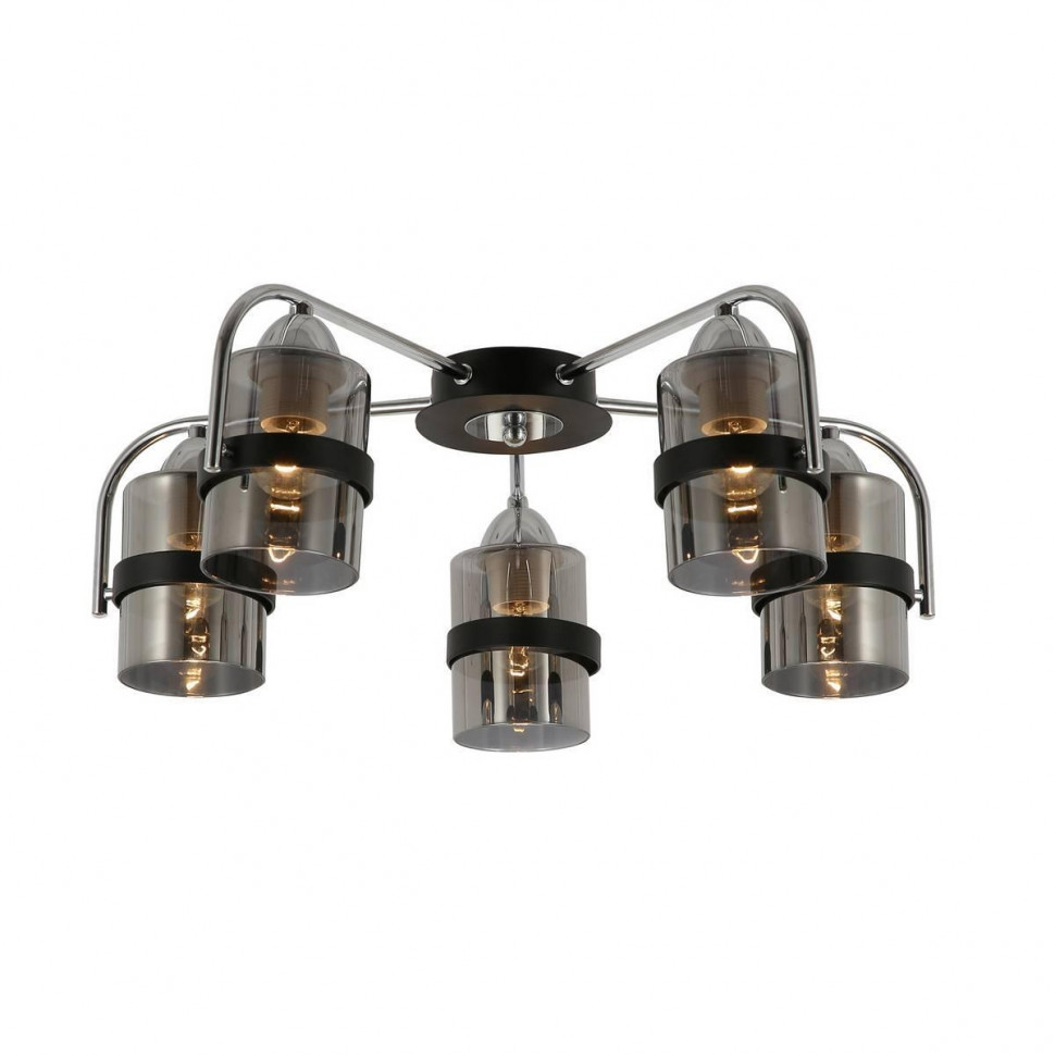 Потолочная люстра EVOLUCE FIUMO SLE102002-05