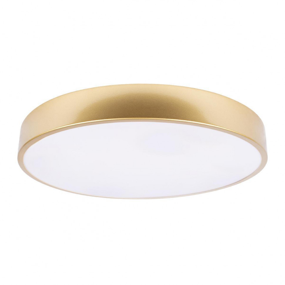 Потолочный светильник Loft IT Flims 10228/A
