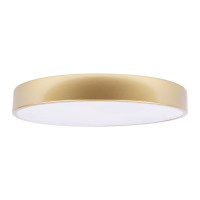 Потолочный светильник Loft IT Flims 10228/A