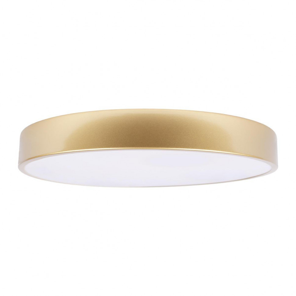 Потолочный светильник Loft IT Flims 10228/A