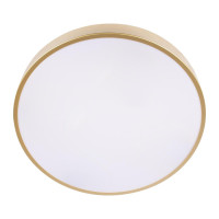 Потолочный светильник Loft IT Flims 10228/A