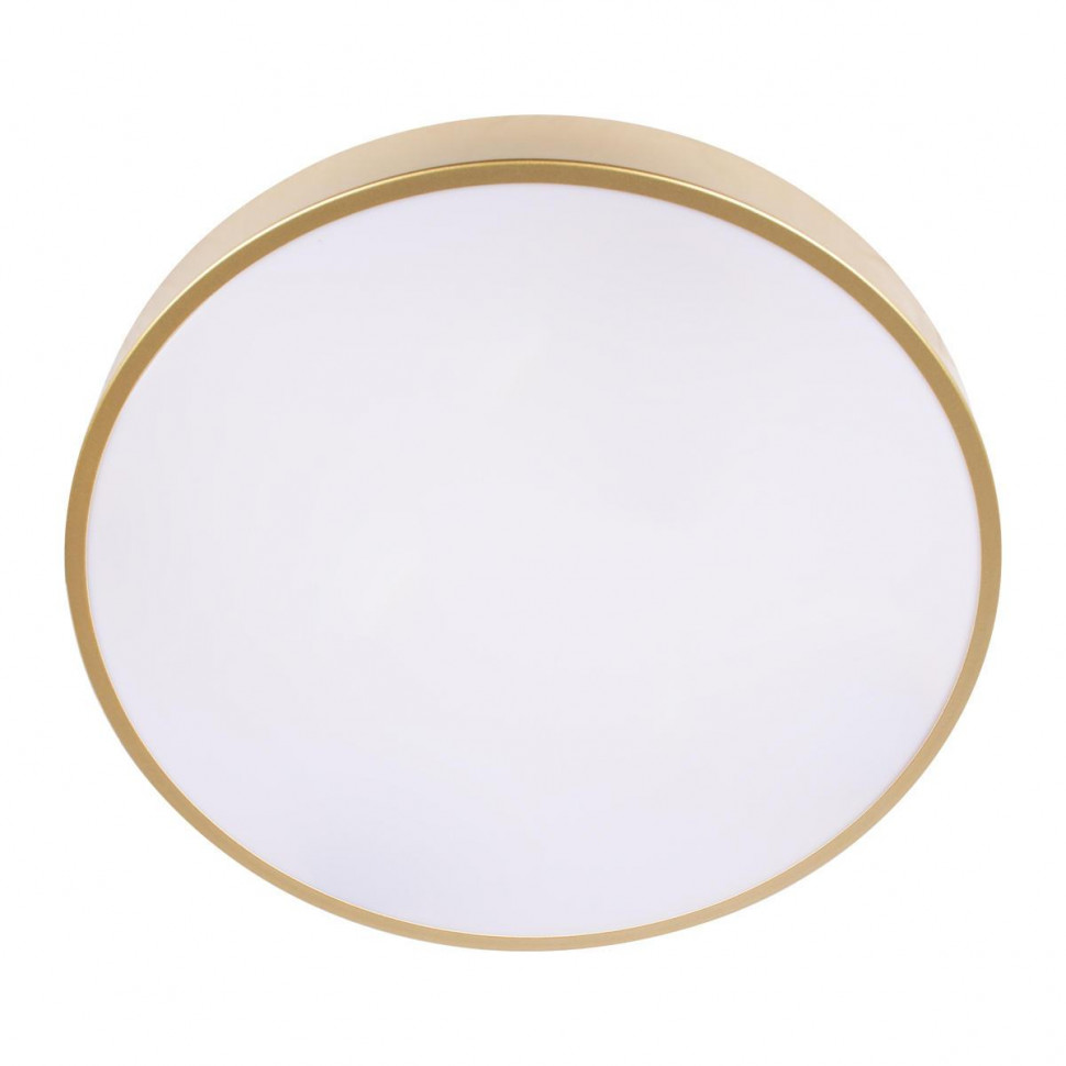 Потолочный светильник Loft IT Flims 10228/A