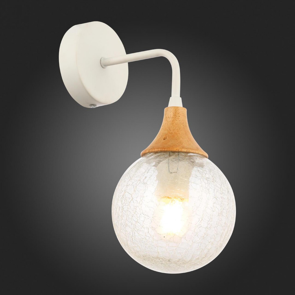 Настенный светильник EVOLUCE LIONE SLE109501-01