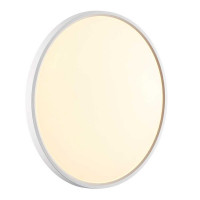 Потолочный светильник Sonex Alfa white 7659/40L