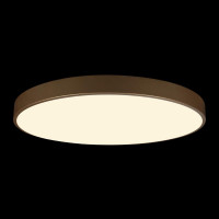Потолочный светильник Loft IT Flims 10228/B