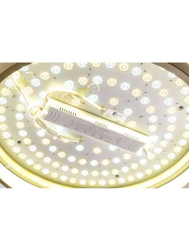Потолочный светодиодный светильник Zortes Gerda ZRS.1097.50