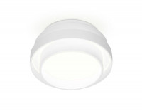Накладной светильник Ambrella Light TN601