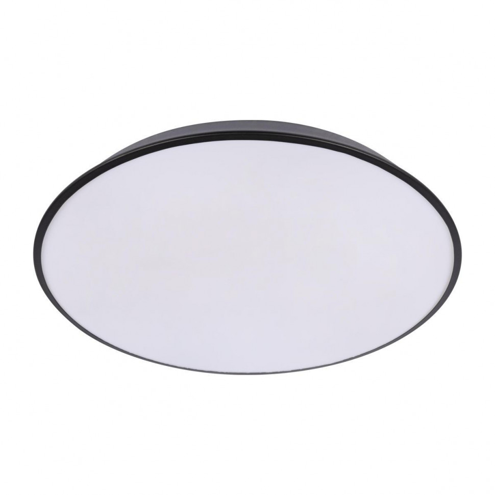 Потолочный светильник Loft IT Brim 10226 Black
