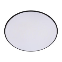 Потолочный светильник Loft IT Brim 10226 Black
