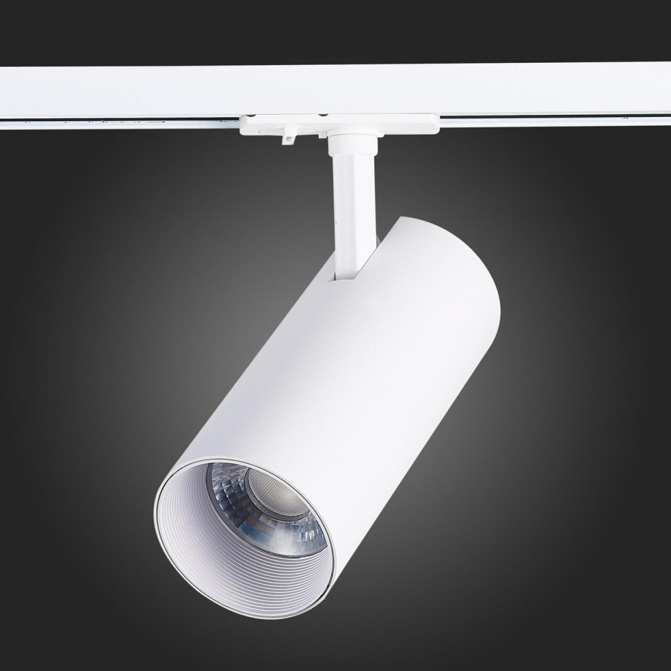Трековый светильник ST LUCE MONO ST350.536.30.24