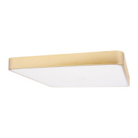 Потолочный светильник Loft IT Flims 10228/D