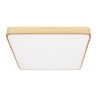 Потолочный светильник Loft IT Flims 10228/D