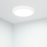 Накладной светодиодный светильник Arlight CL-FIOKK-R300-25W Day4000-MIX 034467