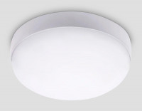 Уличный потолочный светильник Ambrella Light Street ST8624