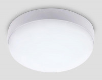 Уличный потолочный светильник Ambrella Light Street ST8626