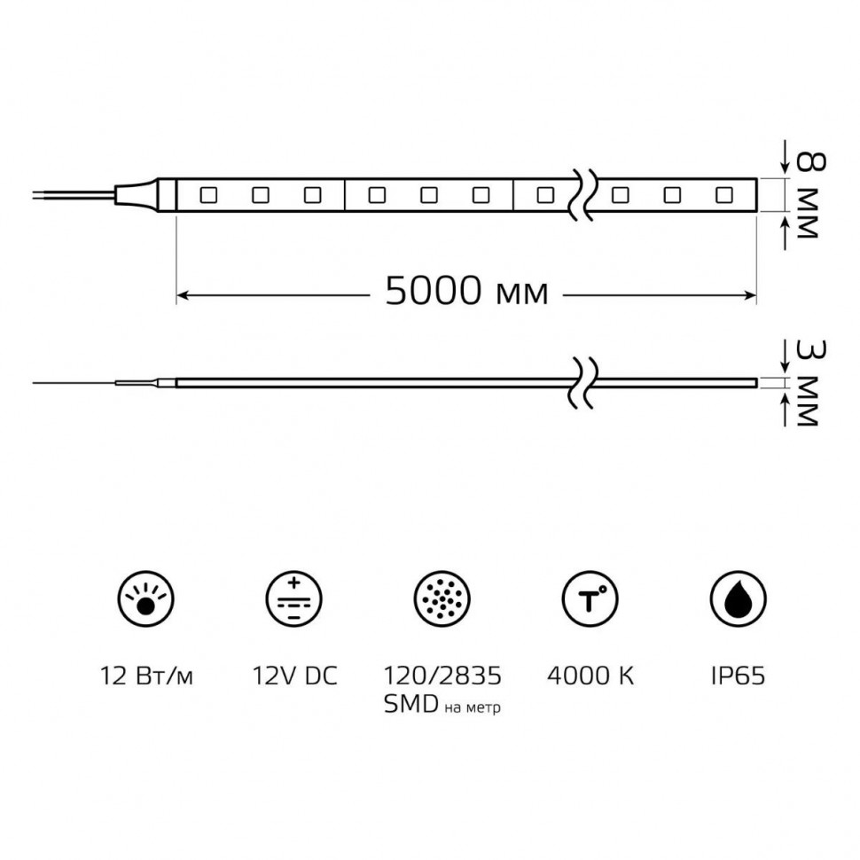 Светодиодная лента Gauss Basic 12В 2835 12Вт/м 4000K 5м IP65 BT071