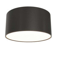 Потолочный светодиодный светильник Maytoni Technical Ceiling & Wall Zon C032CL-12W3K-RD-B